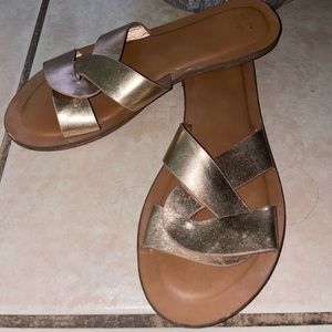 Target gold flats size 8